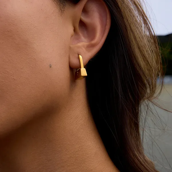 Golden_Stainless_Steel_And_Hypoallergenic_Coating_Earrings_For_Women